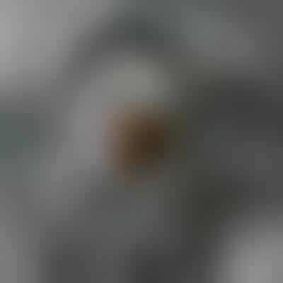 Profilbild einer 56 Jahre alten Frau, Single, 168 cm